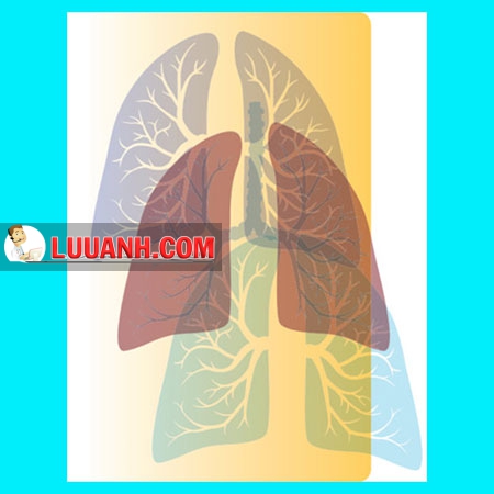 BỆNH PHỔI TẮC NGHẼN MẠN TÍNH (COPD)
