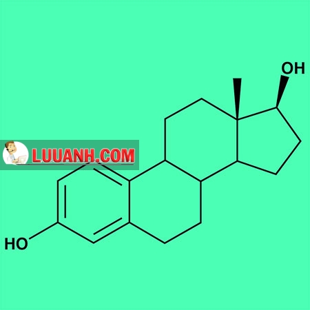 Tiến hành đánh giá các sản phẩm kem bôi dùng tại chỗ chứa Estradiol 3 Estradiol