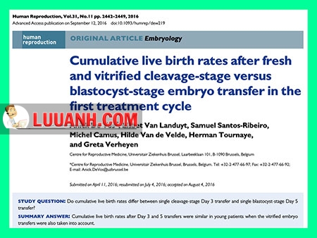 ivf
