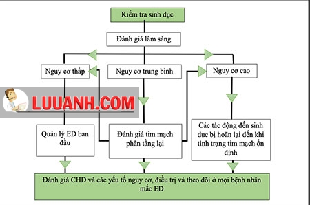 Rối loạn cương dương