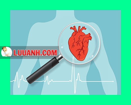 rối loạn cương dương 