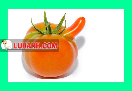 rối loạn cương dương 