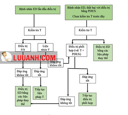 Rối loạn cương dương