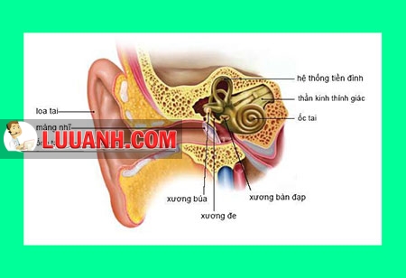rối loạn tiền đình 