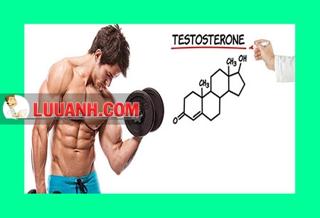 testosterone