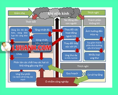 Hình 2. Mối liên hệ giữa các biến đổi khí hậu và nguy cơ gây ung thư.[11]