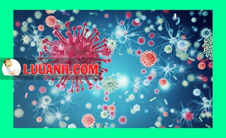 Oncolytic virus
