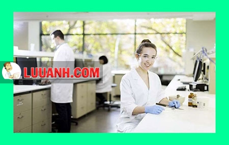 học dược ở pháp