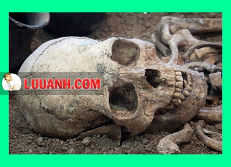 khảo cổ