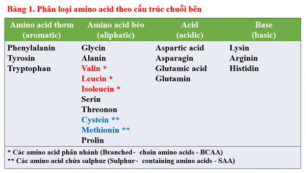 amino acid