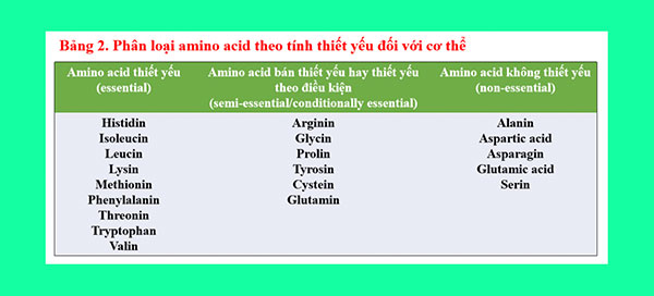 amino acid