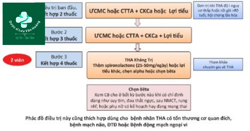 Hình 12. Chiến lược điều trị thuốc với THA không có biến chứng