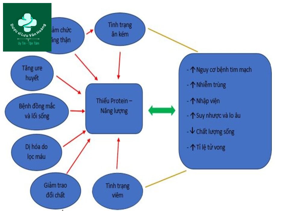 Hình 1. Vòng xoắn bệnh lý của Suy dinh dưỡng trên bệnh nhân CKD [17].