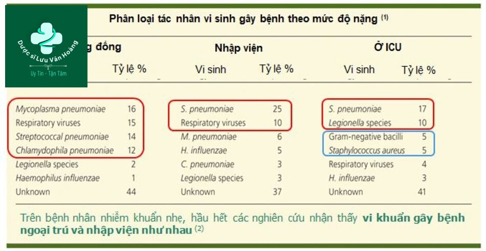 Vi sinh gây bệnh trong viêm phổi cộng đồng