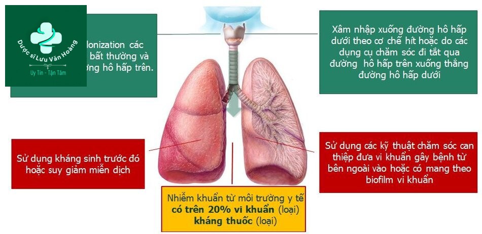 Cơ chế gây bệnh vi khuẩn: Không phổ biến hay kháng thuốc