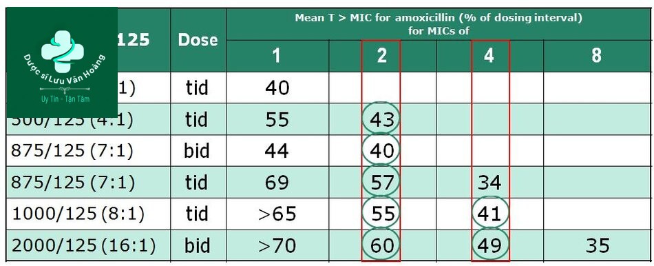 Chọn liều Amoxicilline theo PK/PD (T/MIC)