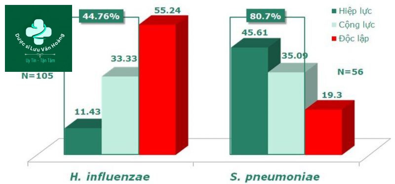 KẾT HỢP KHÁNG SINH Amoxicillin + Clarithromycin